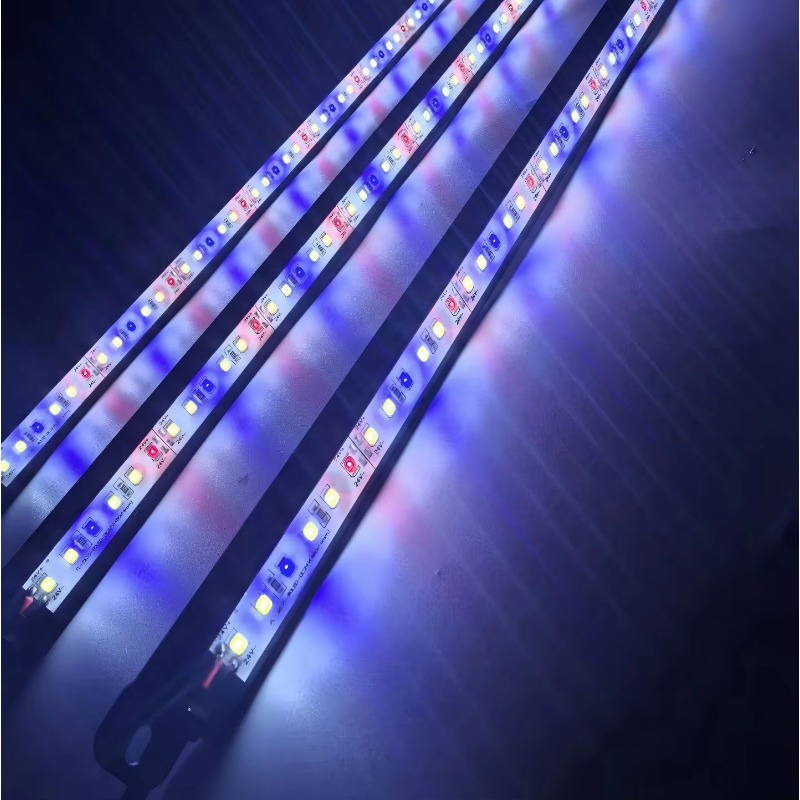 Aquarium Blue Marine Reef - IP68 Wasserdichte LED-Aquariumleuchte Vollspektrum 460nm Actinic