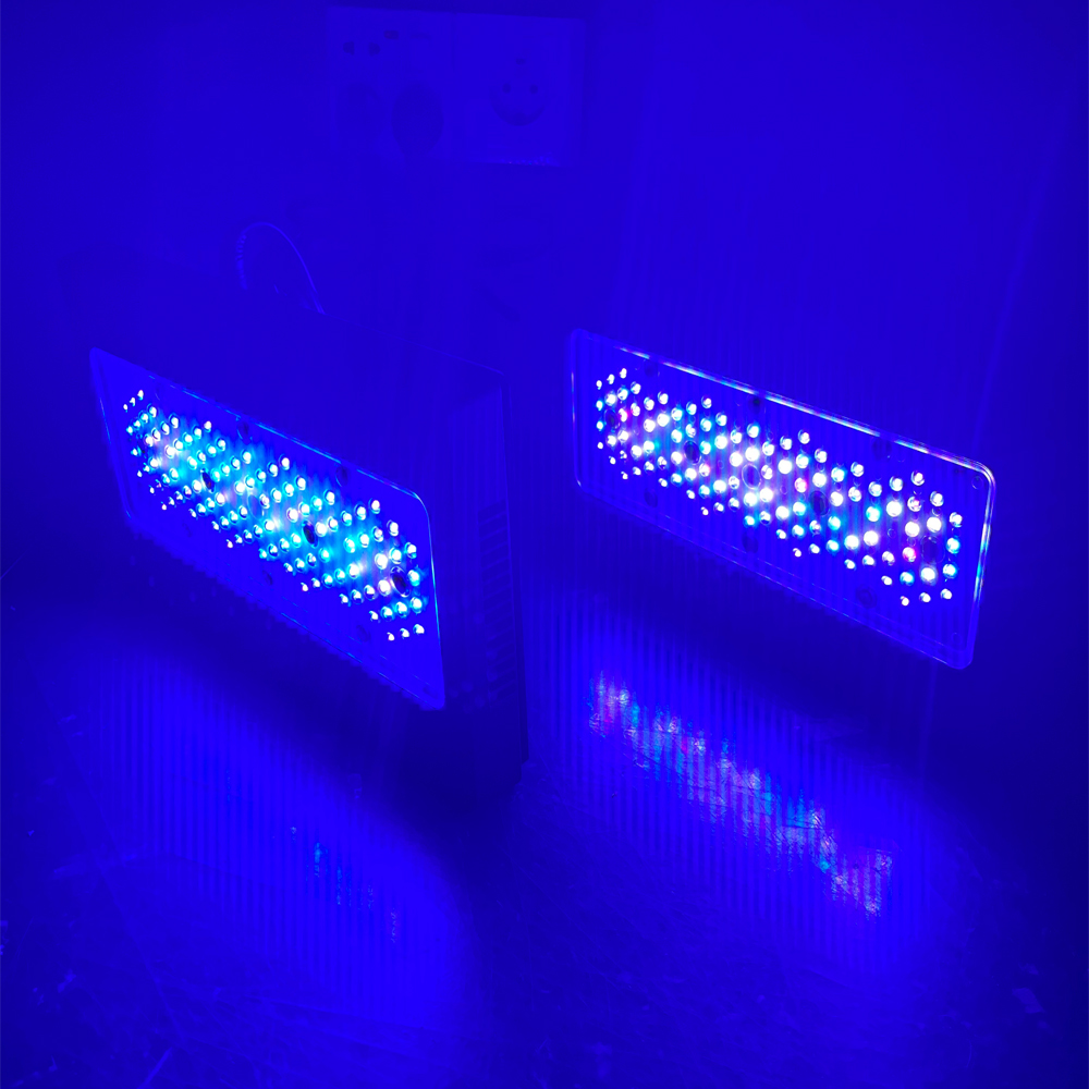Aquarium Blue Marine Reef - 240 W A8se II Max Blue