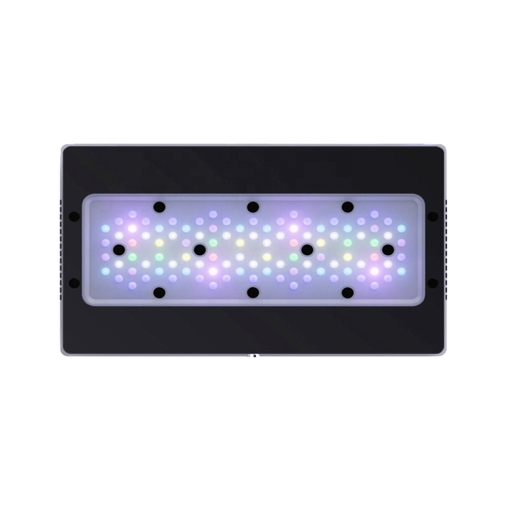 Aquarium Blue Marine Reef - A8SE II Max und Blue 240W