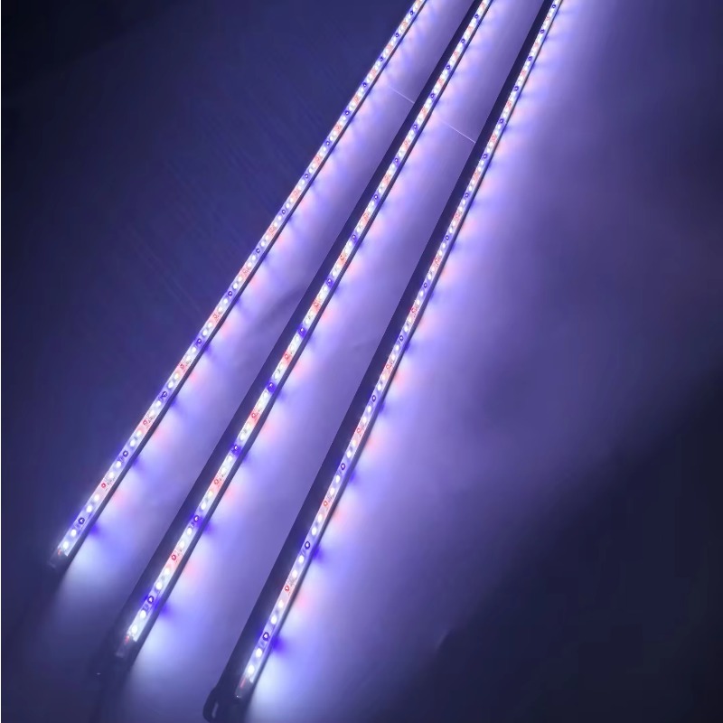 IP68 Wasserdichte LED-Aquarium – Aquarium Blue Marine Reef Bewertung und Preis