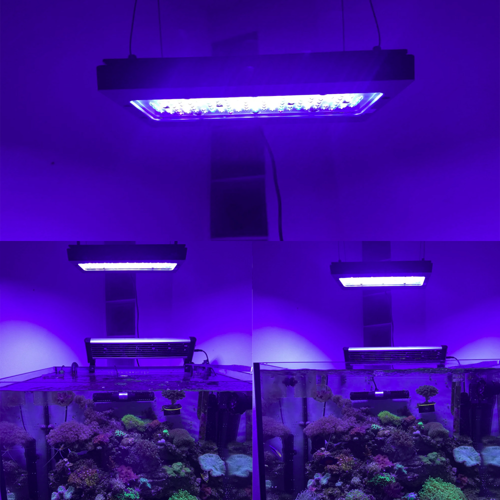 A8se Pro II MAX Blau 240W Mari – Aquarium Blue Marine Reef Bewertung und Preis