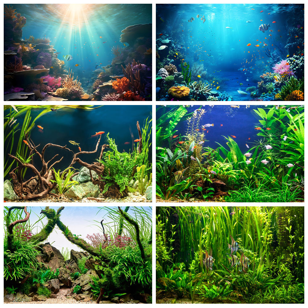 Unter Meerestierboden Welt Fot – Aquarium Marine World Bewertung und Preis