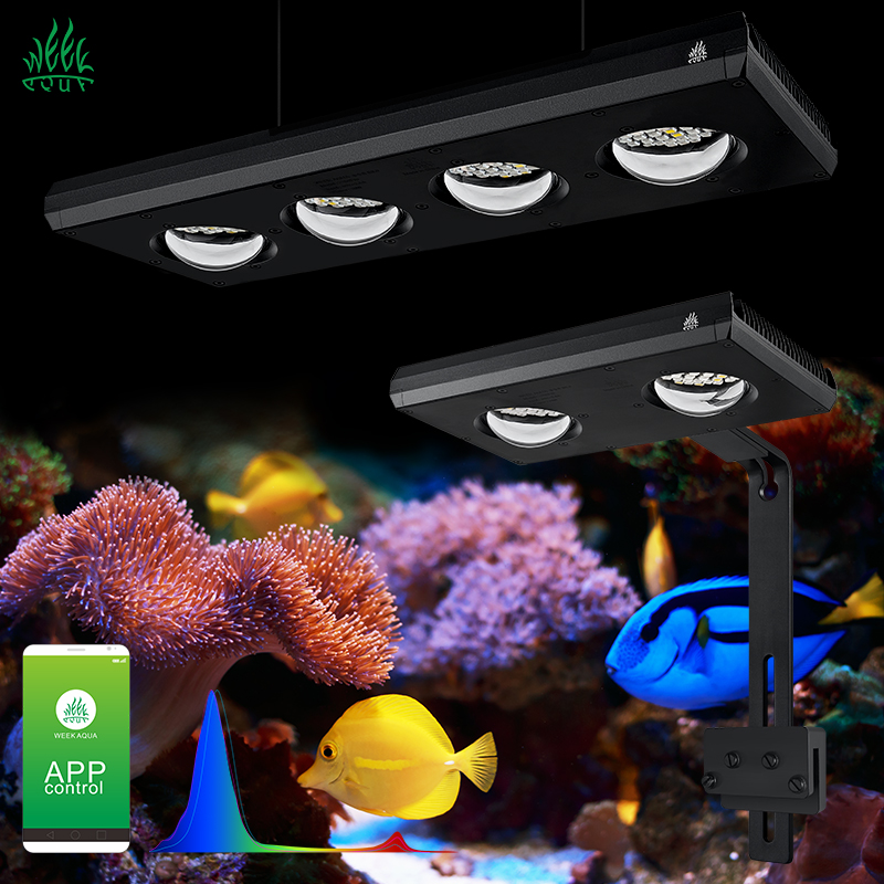 ZXY Heißer Verkauf WEEKAQUA Z2 – Aquarium Blue Marine Reef Bewertung und Preis