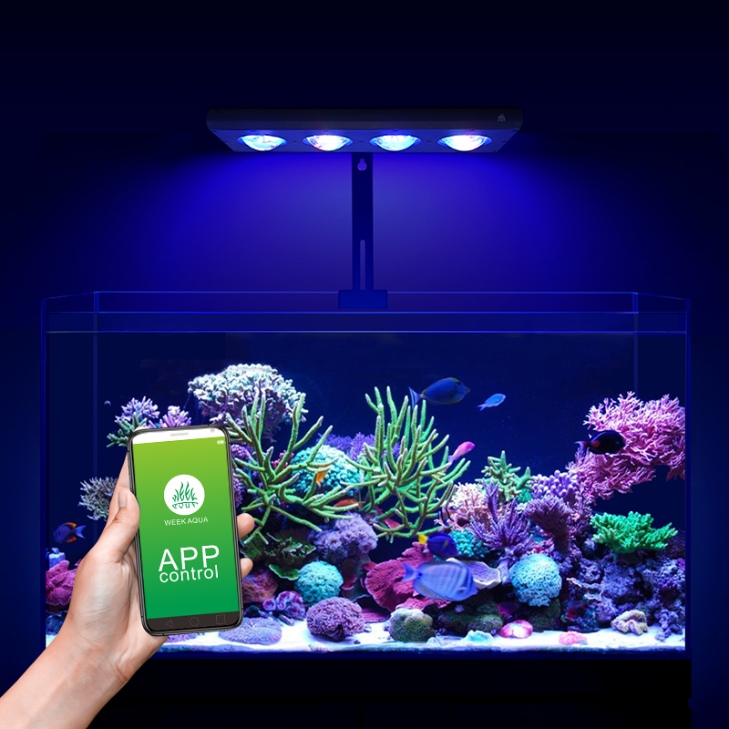 ZXY Heißer Verkauf WEEKAQUA Z2 – Aquarium Blue Marine Reef Bewertung und Preis