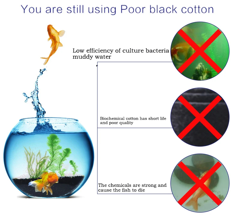 Aquarium Filter Schaum Schwamm – Aquarium & Marine Museum Kota Kinabalu Bewertung und Preis